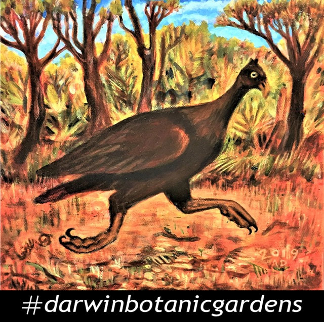 Darwin Botanic Gardens Scrubfowl (T-shirt Image)