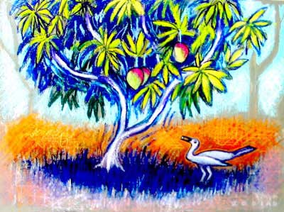 Bowerbird Under Mango Tree